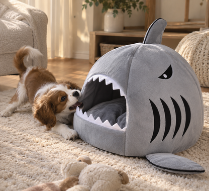 The Shark