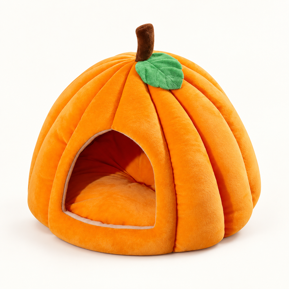 The Pumpkin